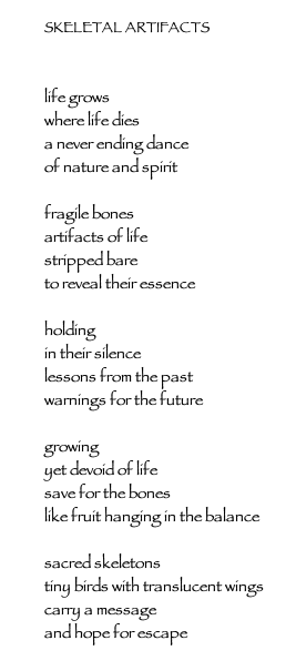 Jude Schlotzhauer, Skeletal Artifacts poem