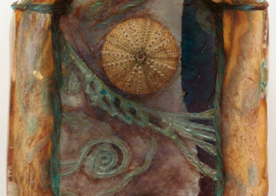 Sea Fossil Reliquary